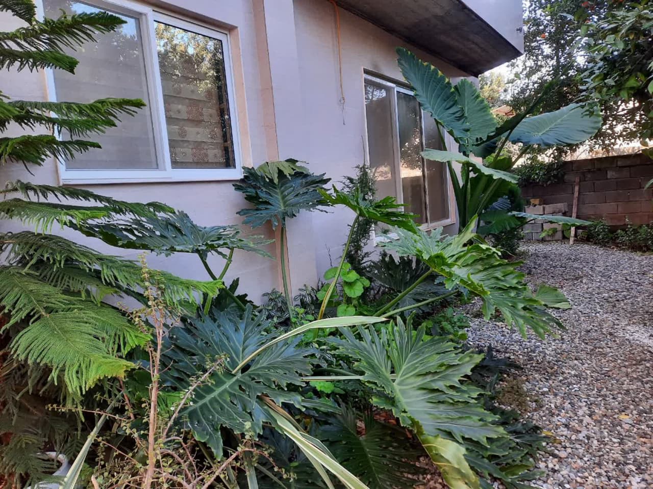 آپارتمان حیاط دار در تنکابن